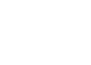 RSM US Alliance